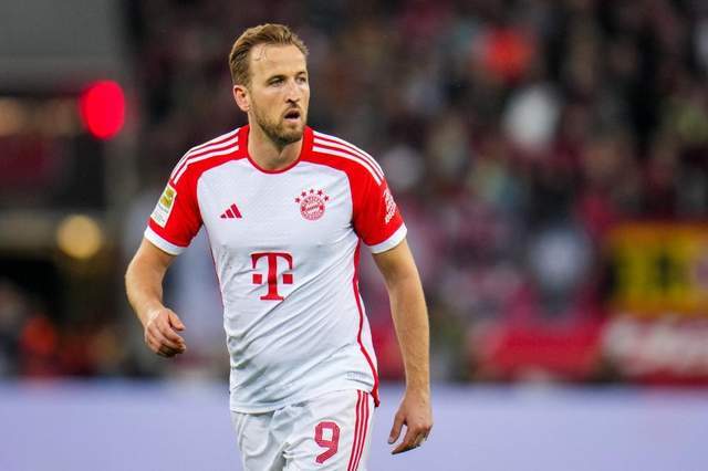 这些例子提 这些例子提