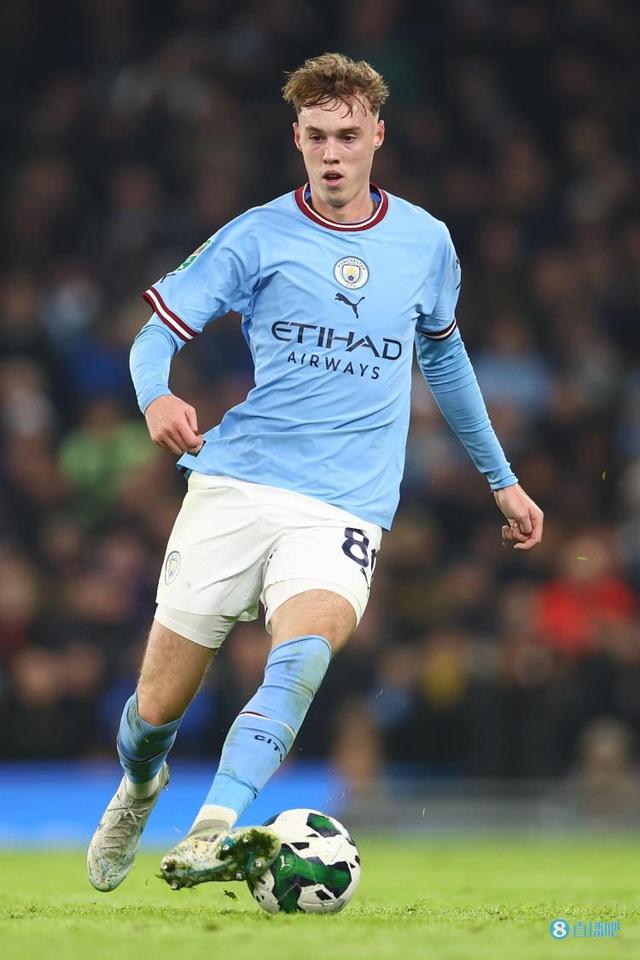 同类型但不 同类型但不