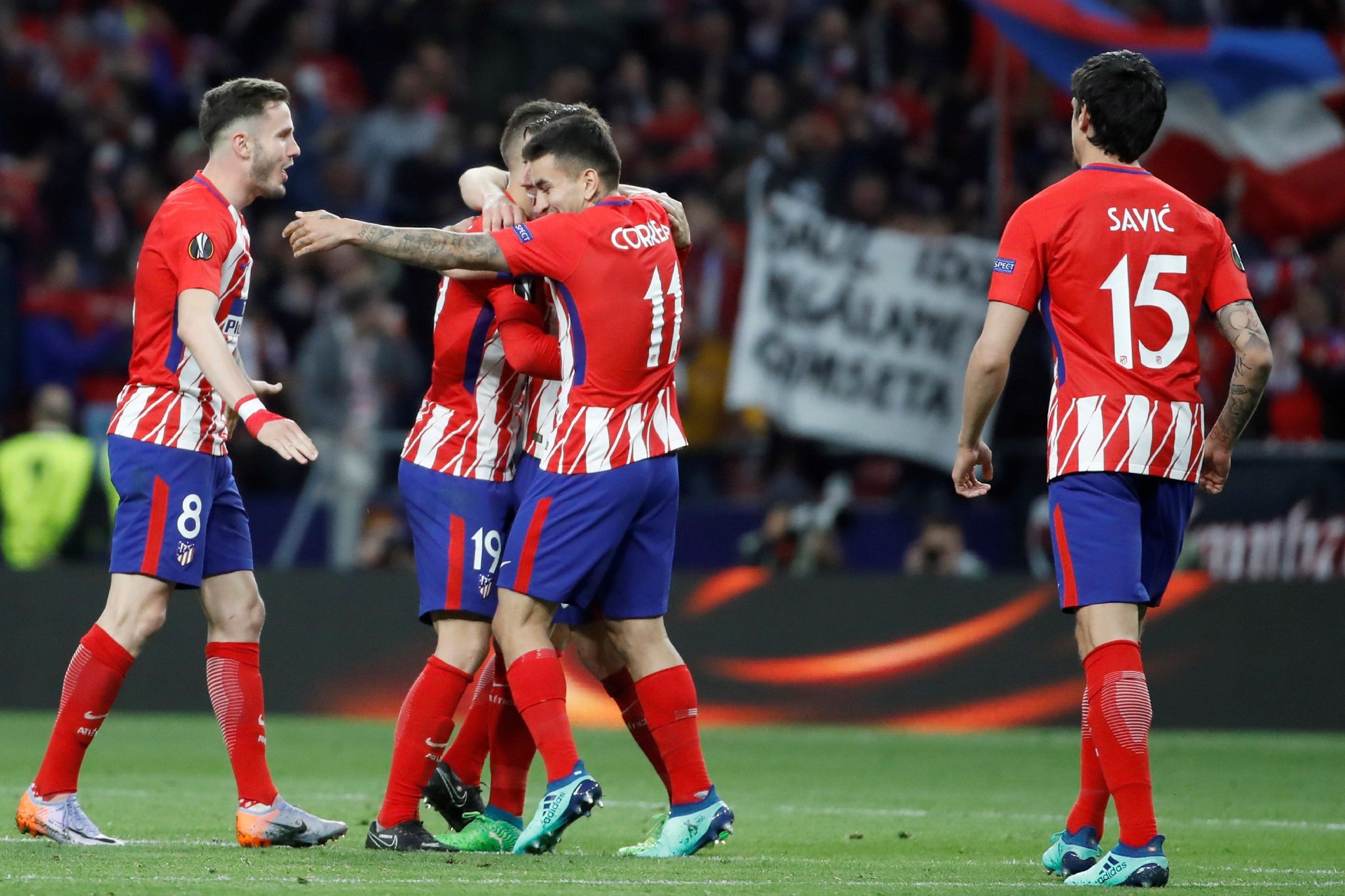 是观察金雕 是观察金雕